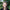 Celiac Nutrition with Selena De Vries, RD
