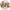 Nutrition Bars | Tastermonial
