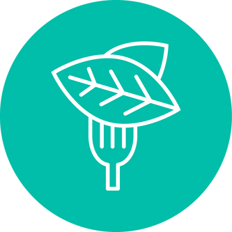 Vegan | Tastermonial