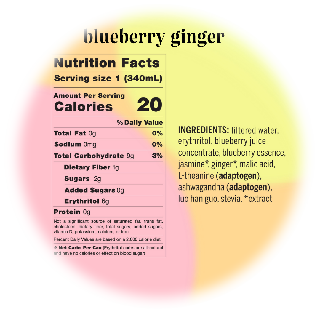 [Drink Moment] blueberry ginger 12-pack
